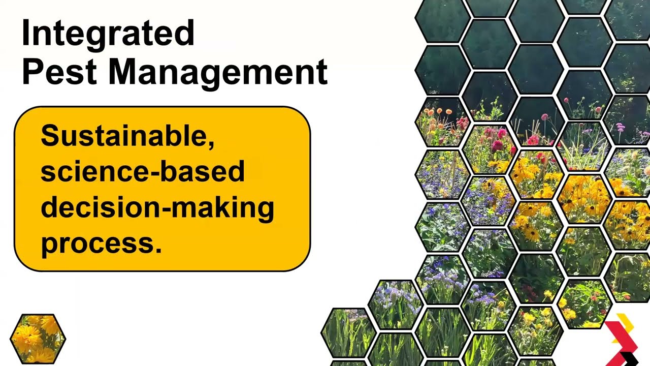Plant Diagnostics Training Course: Part 3 - Integrated Pest Management & Working with the Public