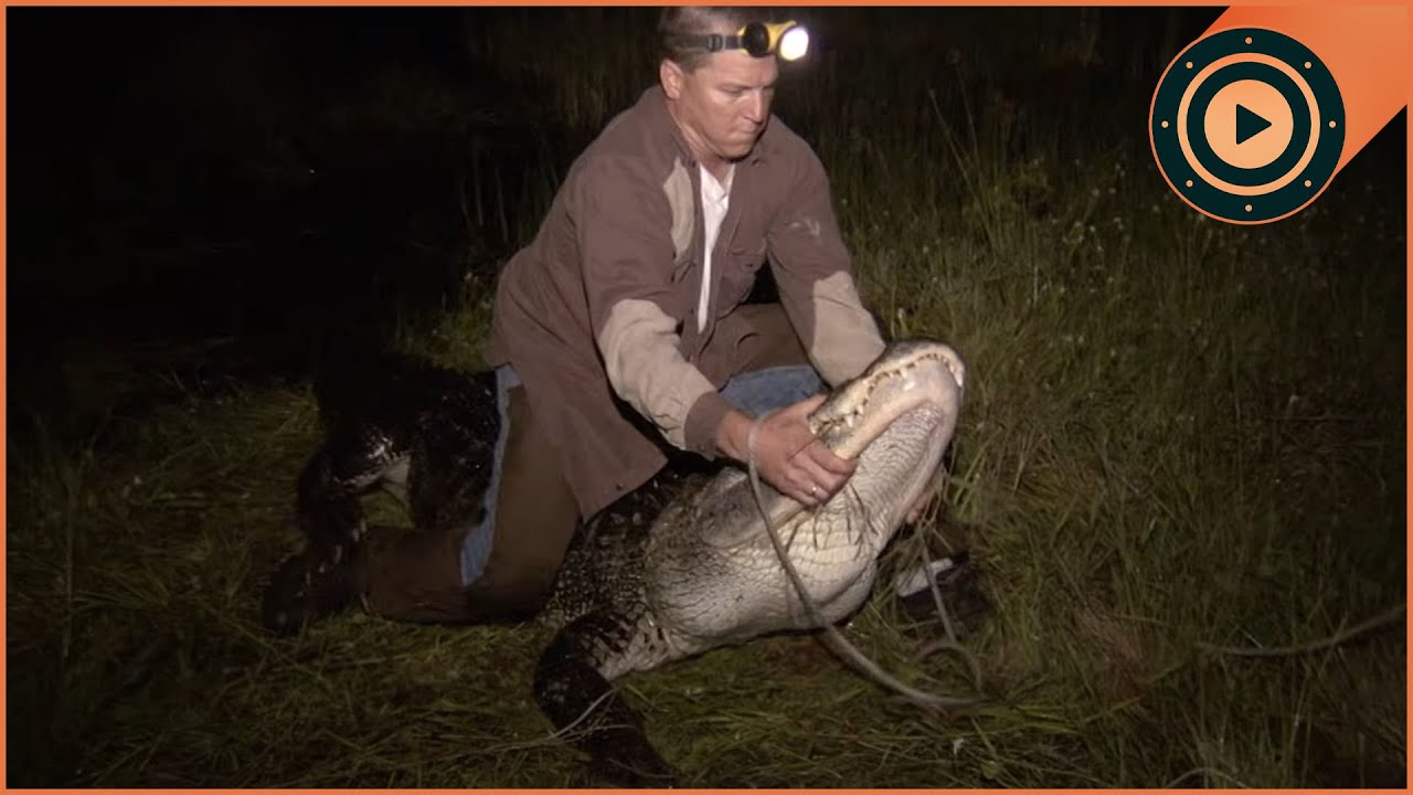 Man vs. Prehistoric Beast: Catching the 11ft 