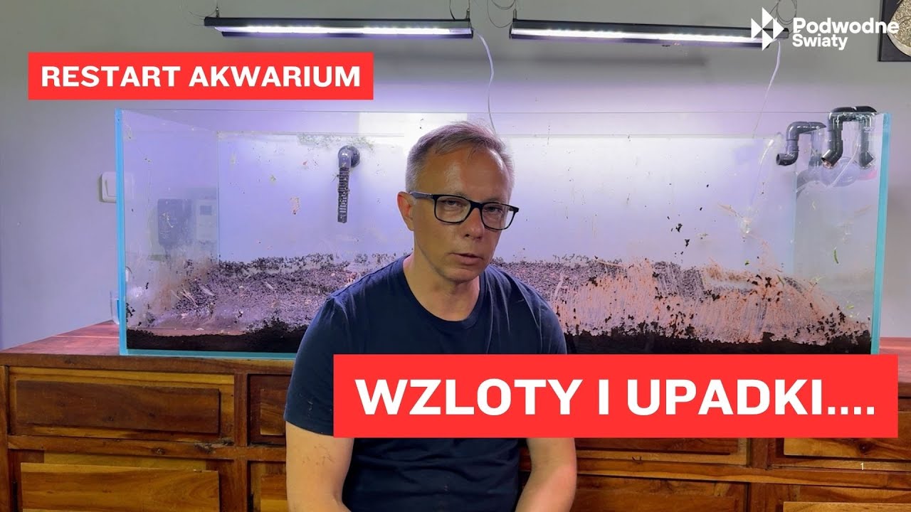 Czas na restart. Wzloty i upadki...