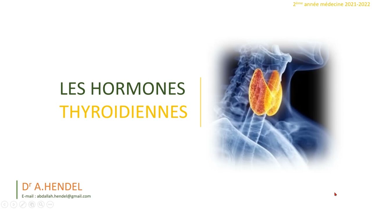 Les hormones thyroïdiennes partie 1