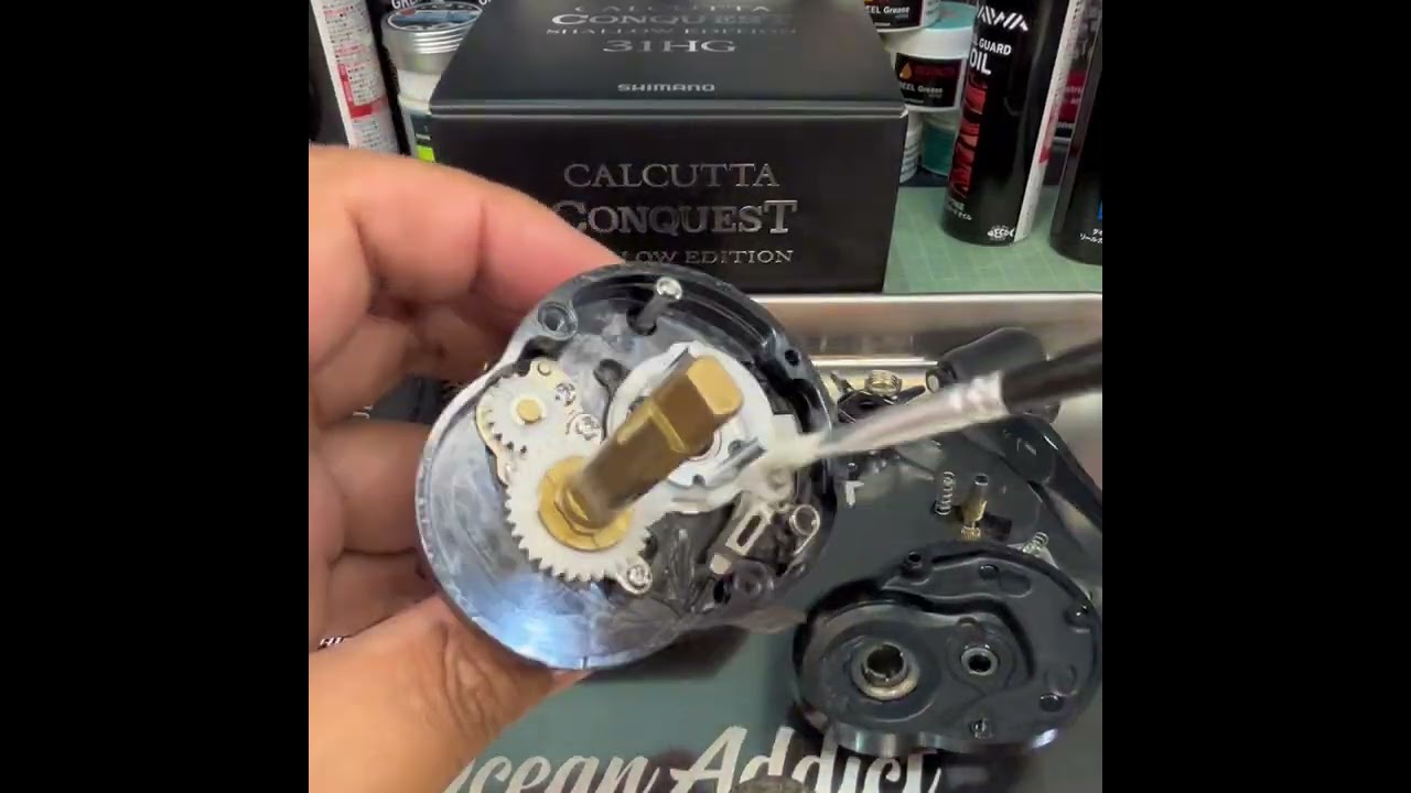 Shimano calcutta Conquest Shallow Edition review