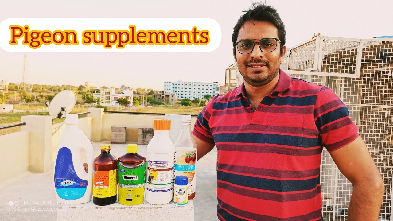 Best supplements for pigeons/ Best Multivitamins for pigeons/calcium/MIT-LOFT