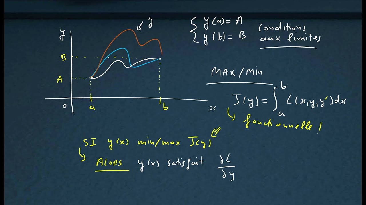 Calcul des variations/ Application de l'équation d’Euler–Lagrange (Exemple_1)