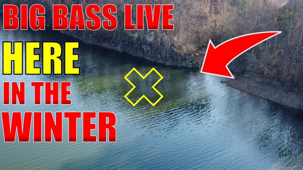 3 Proven FISHING Techniques That Catch BIG WINTER Bass