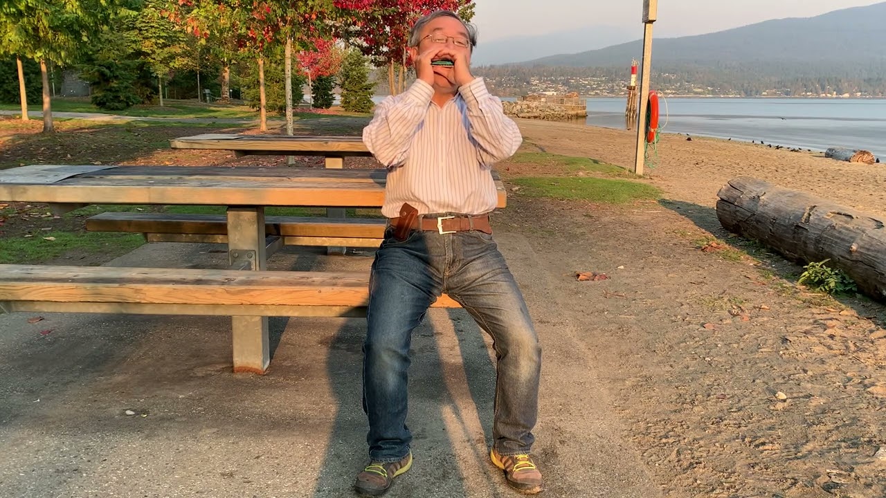 Oh Susanna - Diatonic Harmonica - Tongue Blocking