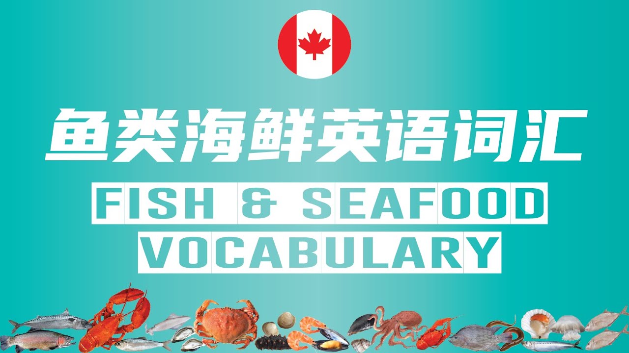 Learn Fish and Seafood Vocabulary in English 鱼类海鲜英文词汇