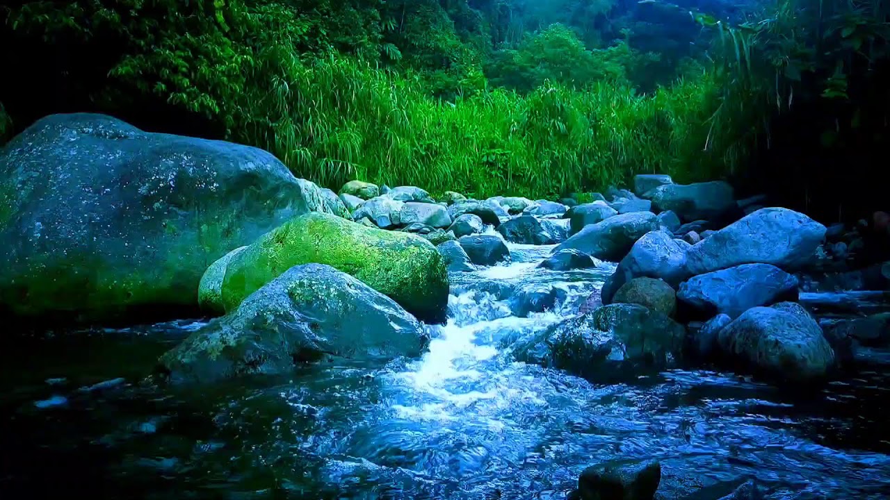 🌊 Gentle Rainfed River ASMR Sounds for Deep Sleep, Relaxation & Stress Relief