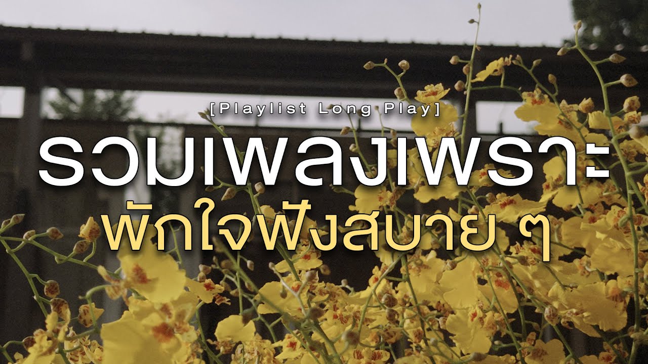 รวมเพลงเพราะ พักใจฟังสบาย ๆ [ Playlist Long Play ]