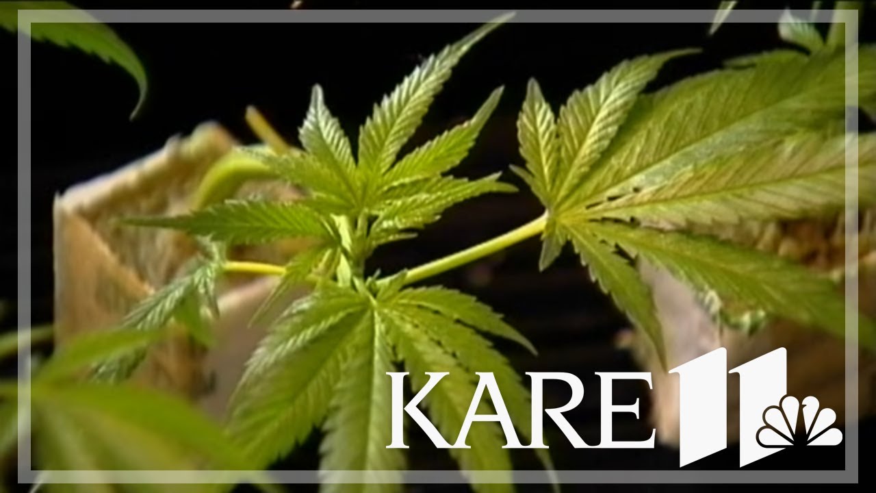 Rise Dispensaries launch recreational products in five Minnesota cities