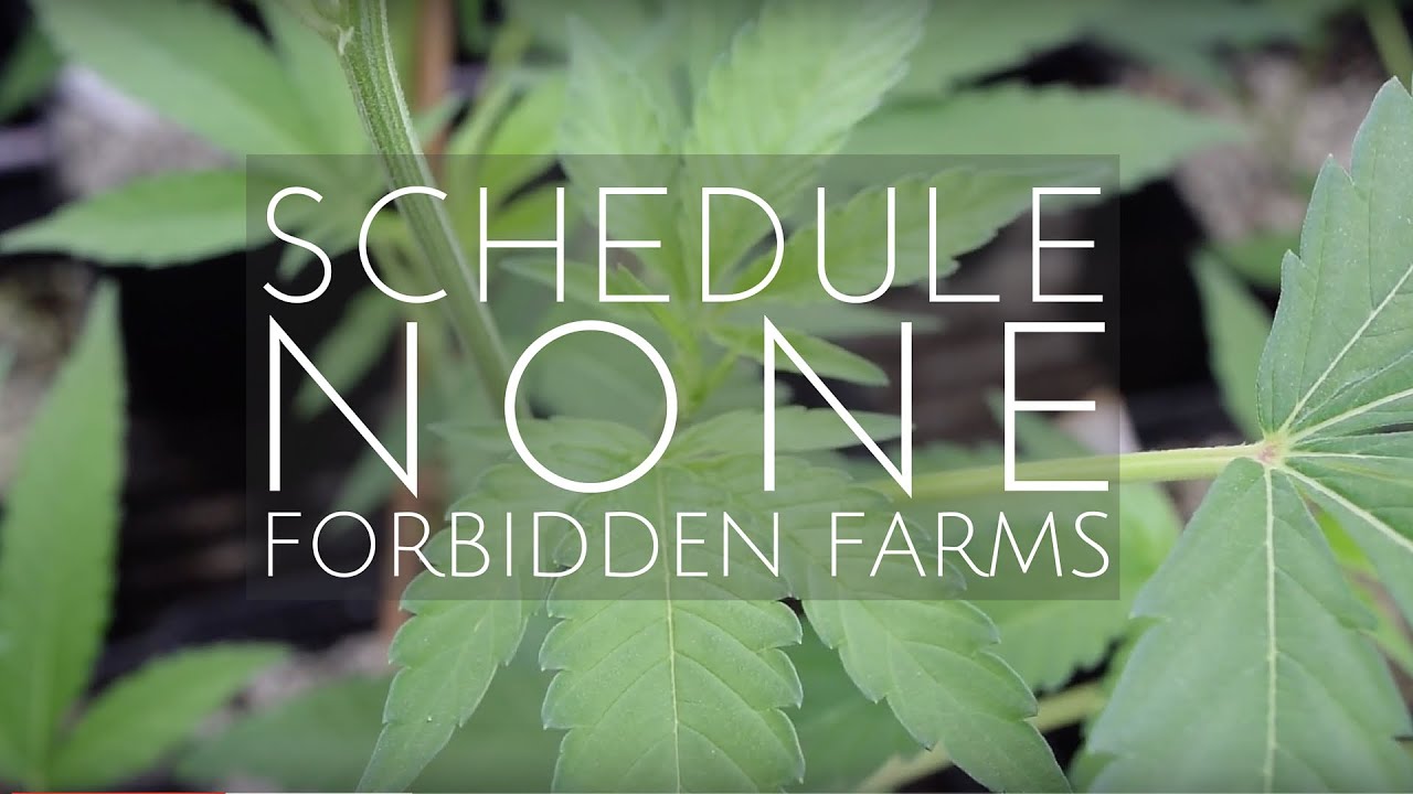 SCHEDULE NONE: Episode One - Forbidden Farms