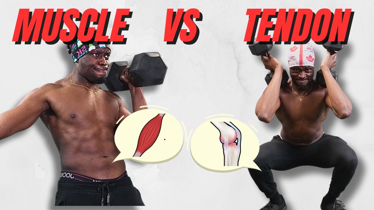 Bulletproof your body with tendon training
