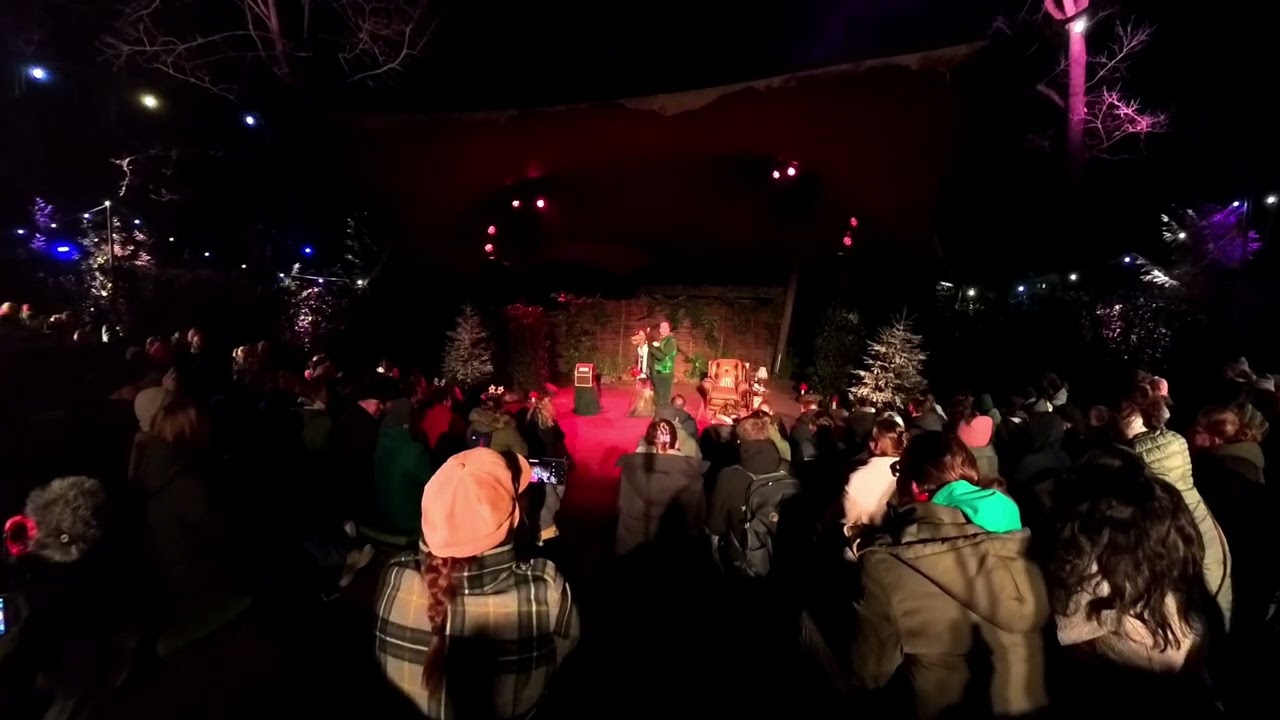 oudjaarsavond met wolf 2025 show in de Efteling