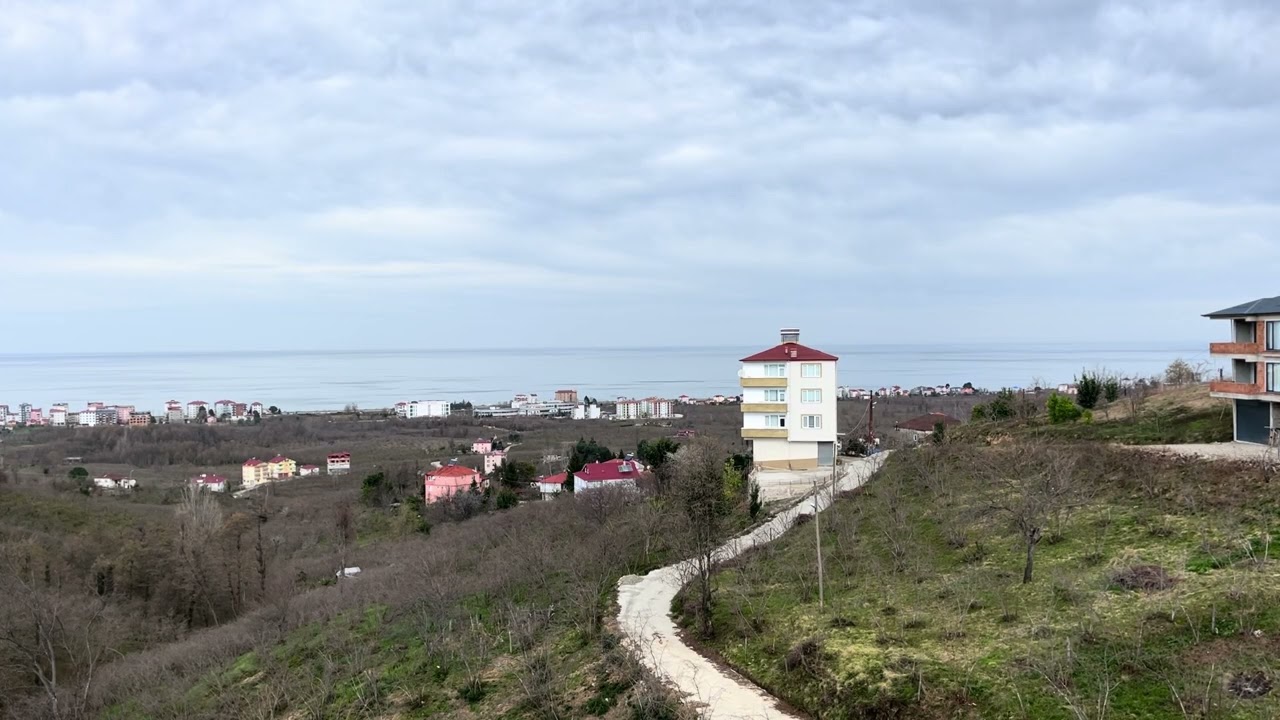 Deniz Manzara