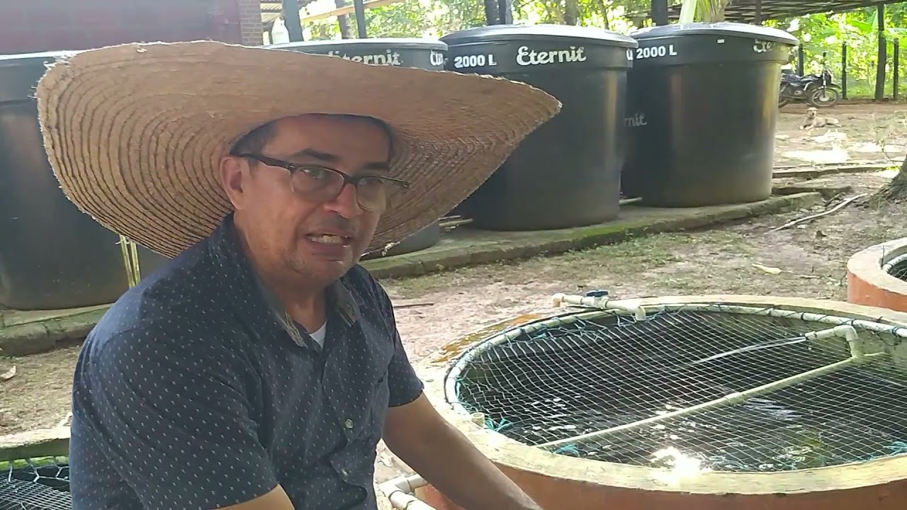 Reactor para purificar el agua de mis Peces