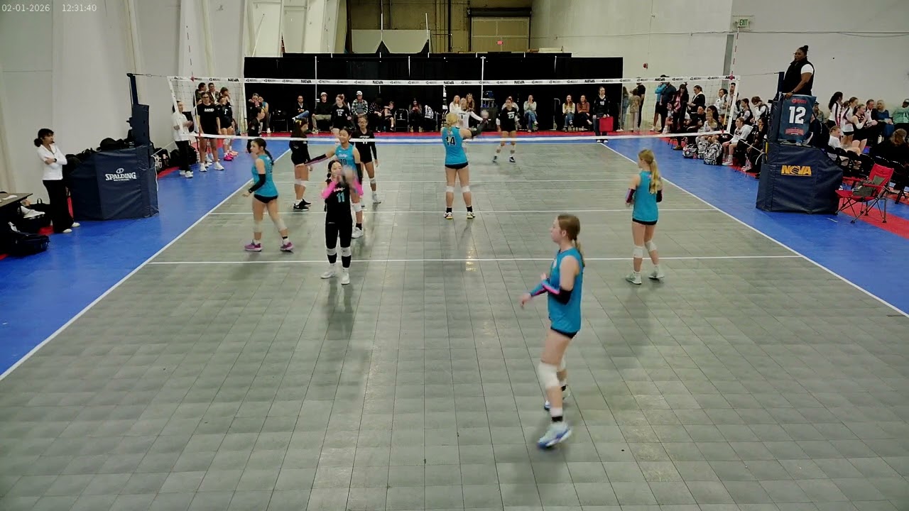 VVA 13U-Meikle vs Sand 13 Gold