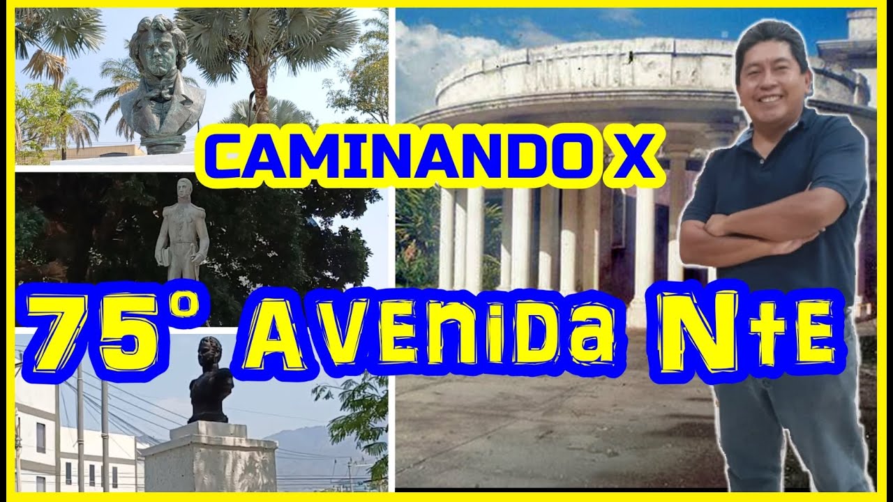 [ #walkingtour ] Recorrido X 75&deg; AVENIDA NORTE/ SUR #abril2024  #sansalvador #recorridosurbanos (II)