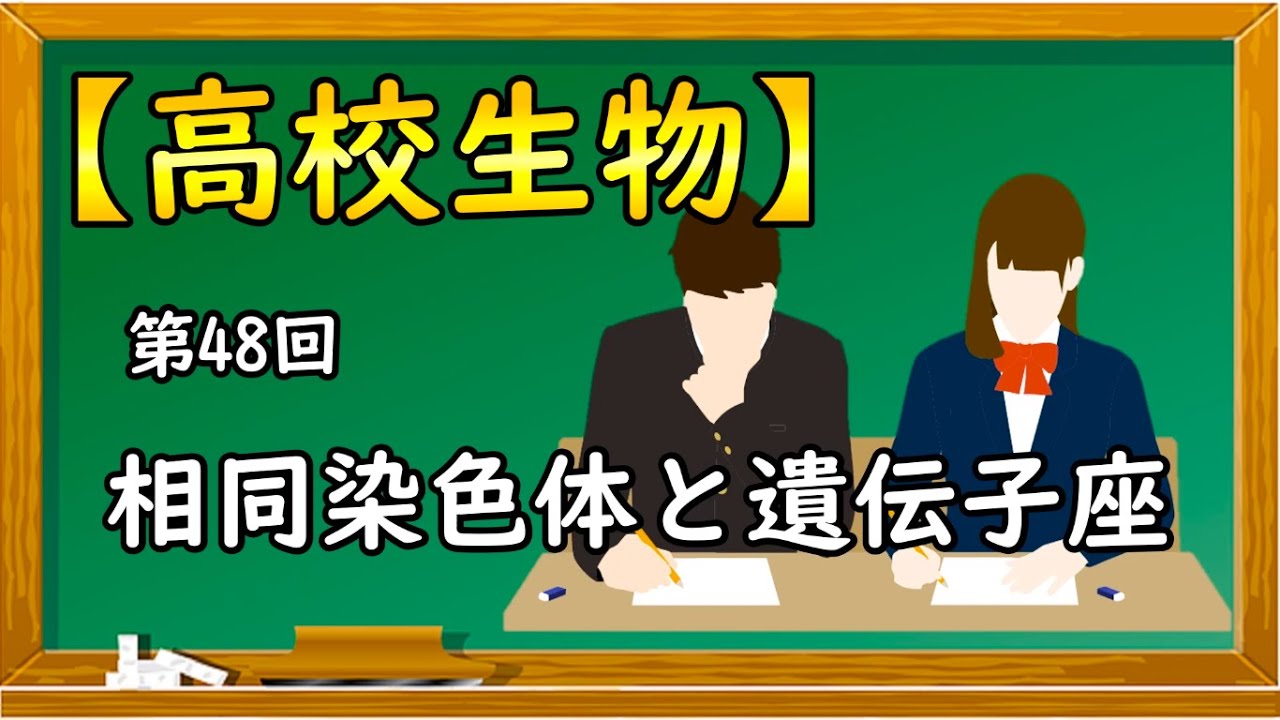 高校生物【第48回 相同染色体と遺伝子座】オンラインで高校授業