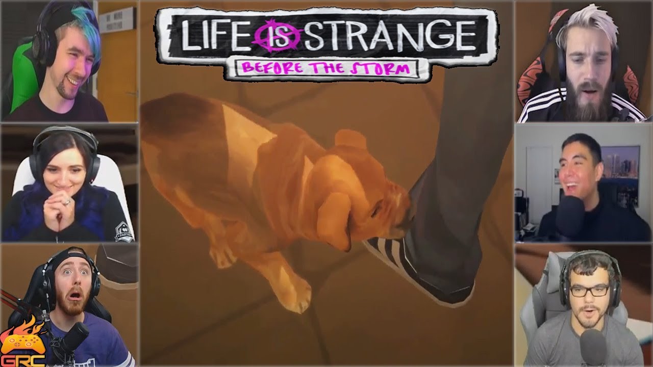 Gamers Reactions to the Puppy Pompidou | Life is Strange: Before the Storm Episode 2