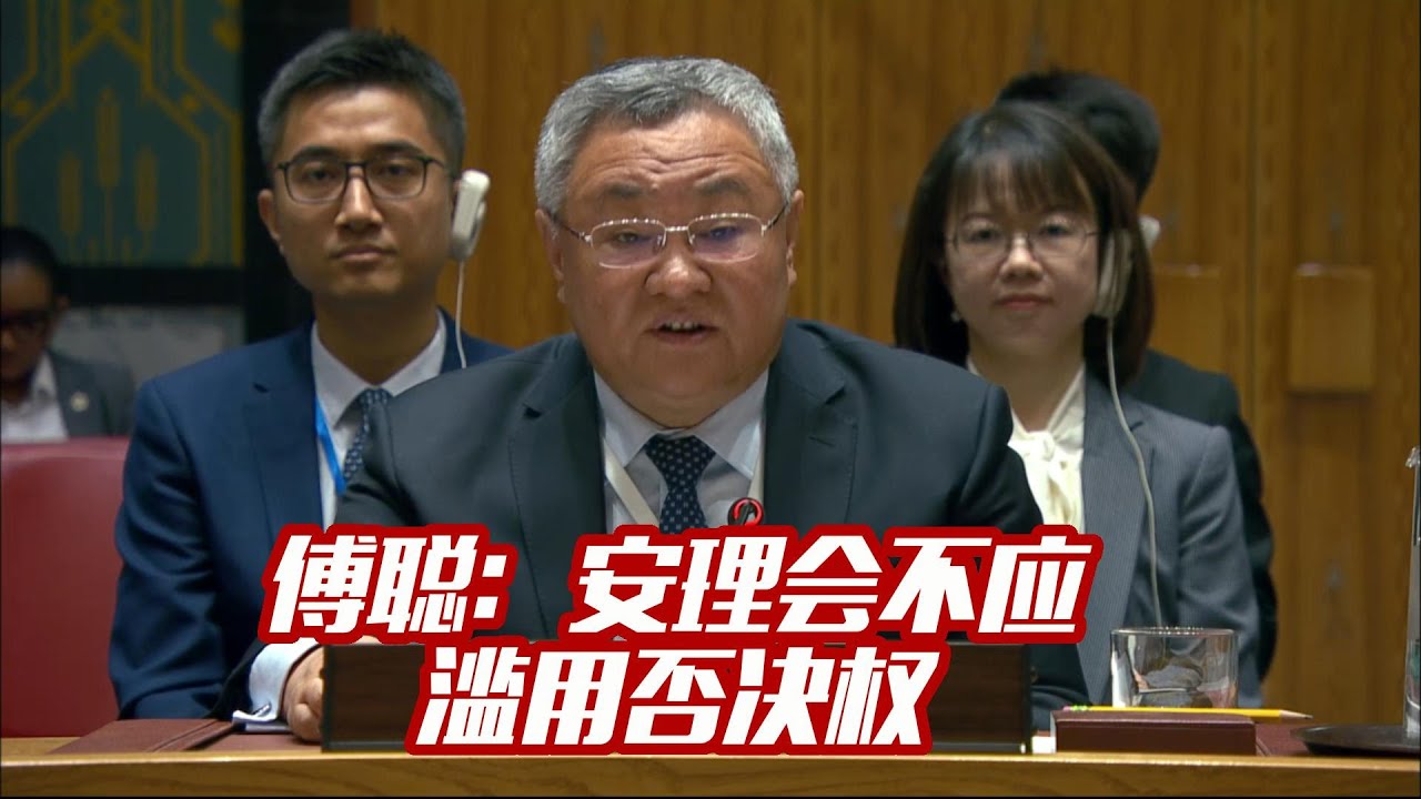 傅聪：安理会不应滥用否决权 Fu Cong: The Security Council Should Not Abuse the Veto Power