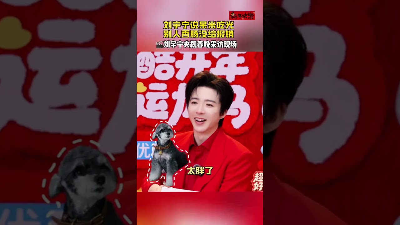 刘宇宁究竟是谁的新郎？工作人员兴奋到嗷呜～刘宇宁高能回怼过年亲戚拷问～#刘宇宁 #刘宇宁演唱会 #春晚 