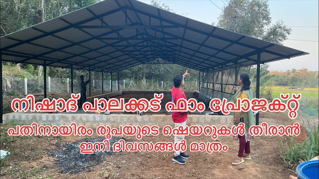 #NP1181#ഇപ്പോൾ പതിനായിരം രൂപ മാത്രം#ഈ ഫാമിലൊരു മെമ്പറാവാം#nishadpalakkad#share#Duckfarm#Agricultral#
