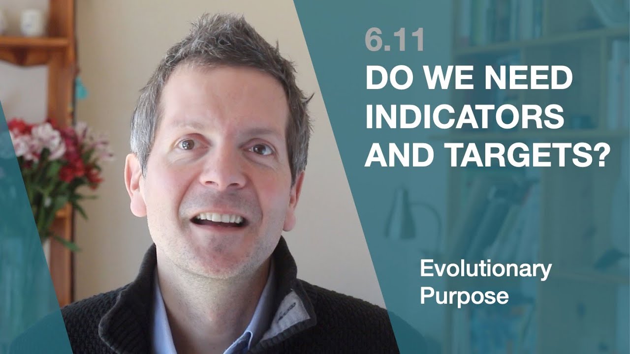 6.11 Do we need indicators and targets? (Evolutionary Purpose)