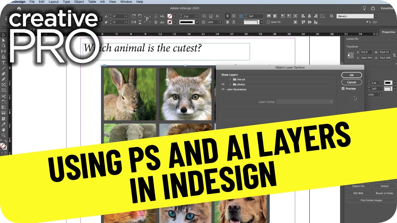 Using Photoshop and Illustrator Layers in InDesign ft. David Blatner // CreativePro Tutorial