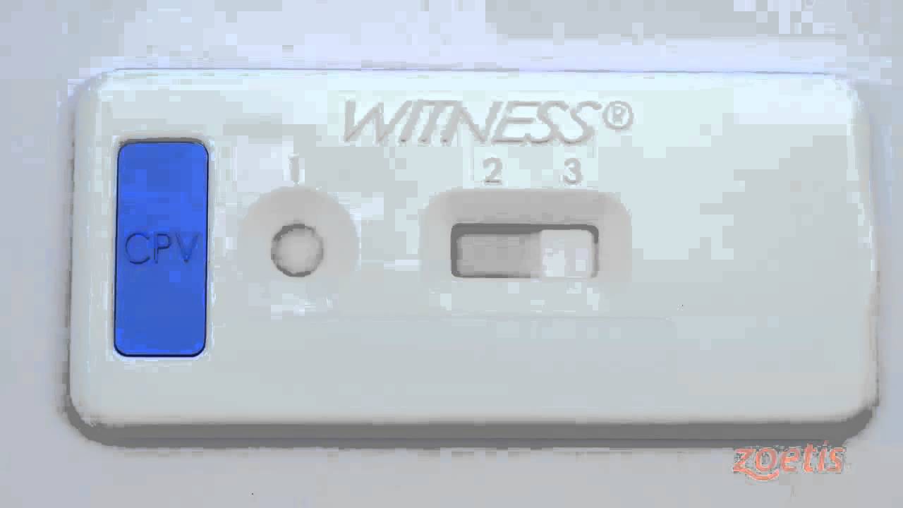 Kit de Diagnóstico WITNESS® Parvo para canes.