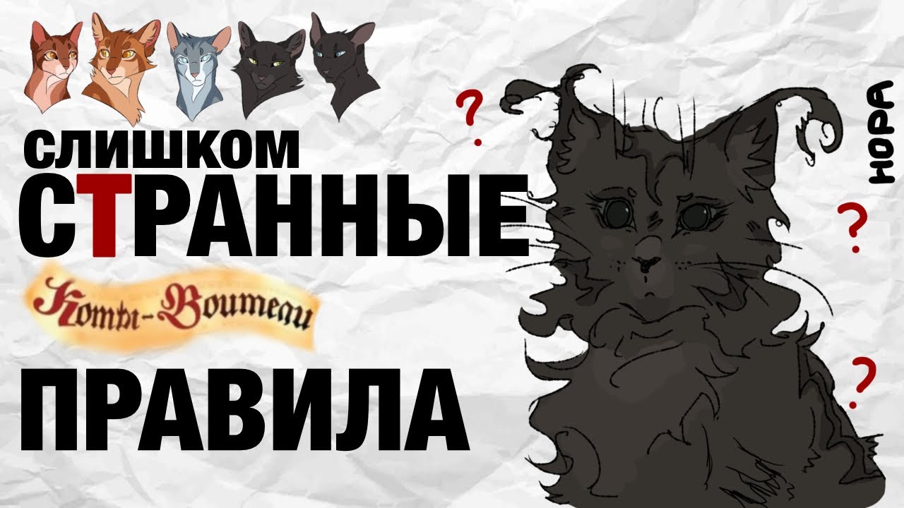 Это вообще нормально? Коты-Воители.