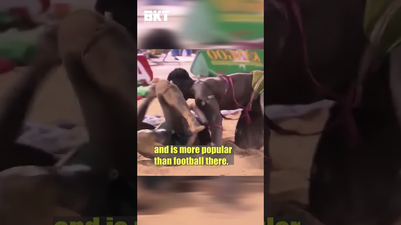 Senegal -Things you never knew