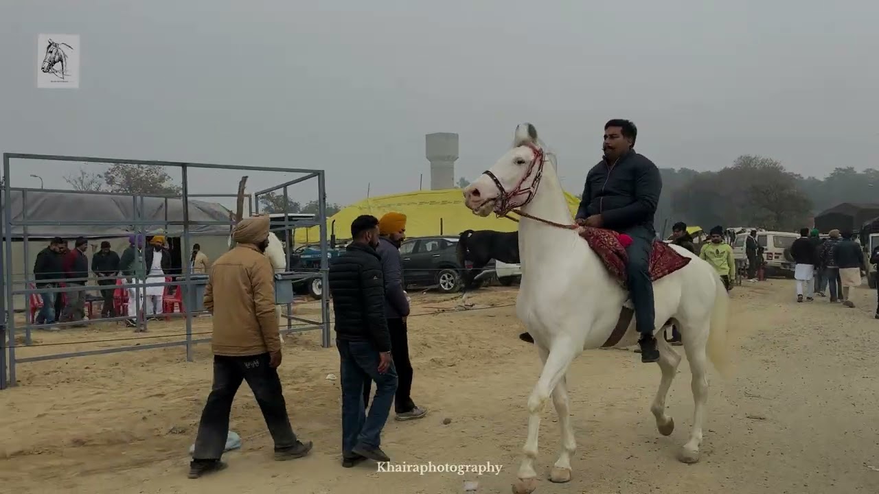 ਮਾਘੀ ਦਾ ਮੇਲਾ ਸ੍ਰੀ ਮੁਕਤਸਰ ਸਾਹਿਬ 2026 ਦੁਨੀਆਂ ਭਰ ਦੇ ਜਾਨਵਰ 