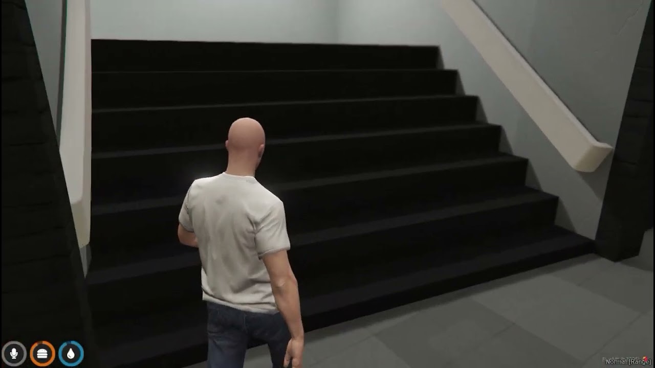 Tranås Blåljus Verksamhet Ny Rockford Hills polismyndighet MLO