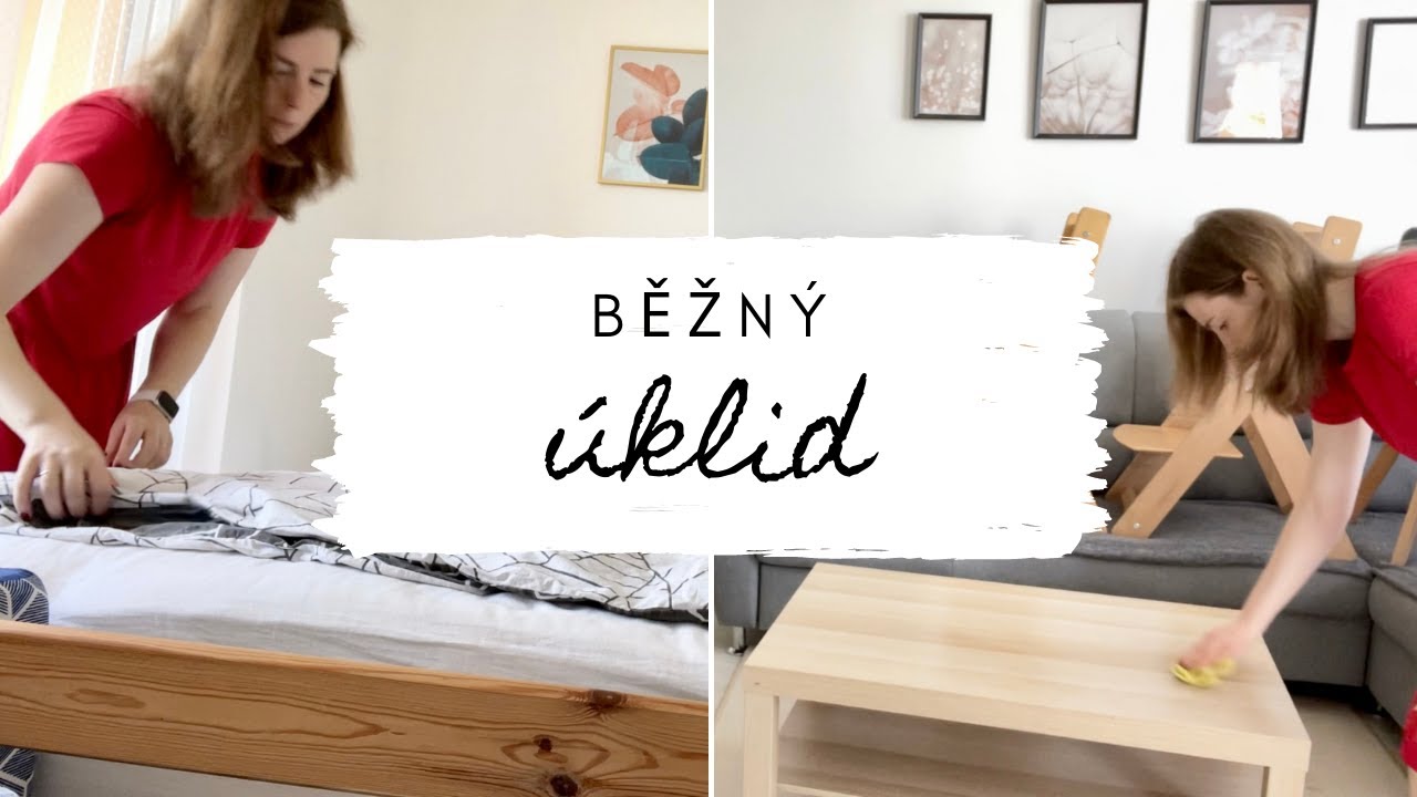 ÚKLID bytu před návštěvou 🧹