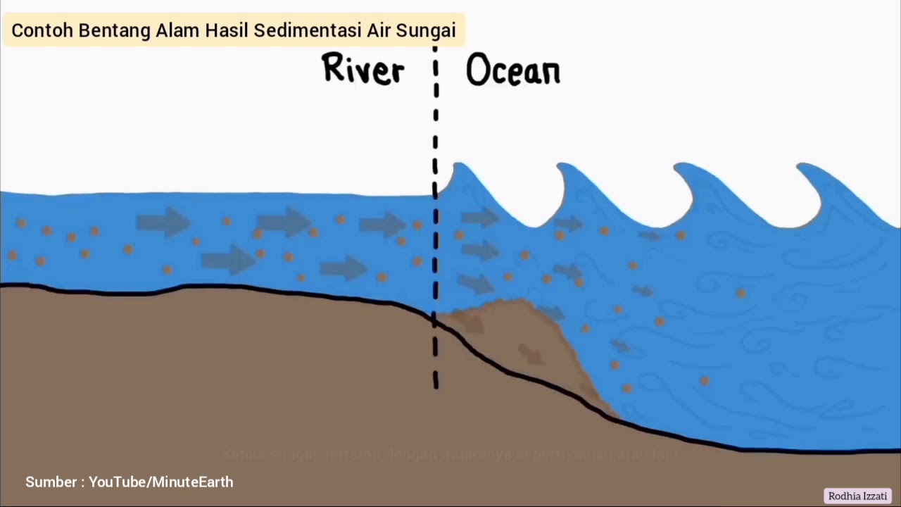 SEDIMENTASI & MASS WASTING (Tenaga Eksogen Part 2)