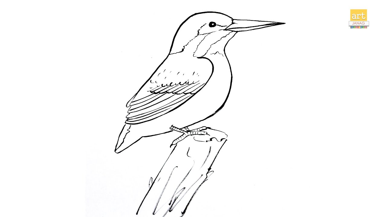 How to draw A Kingfisher II Kingfisher drawing step by step II part 01 II #artjanag