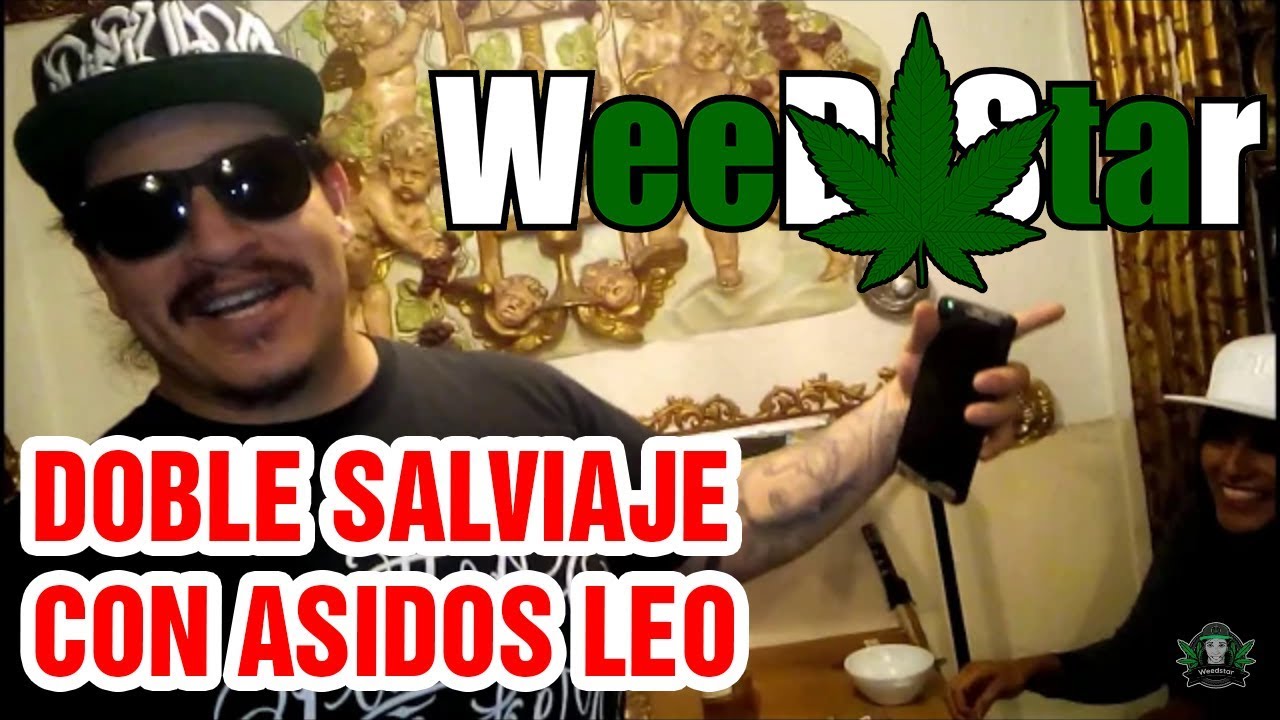Doble salviaje trip 10x (+18) fumando en el salon de la Salvia