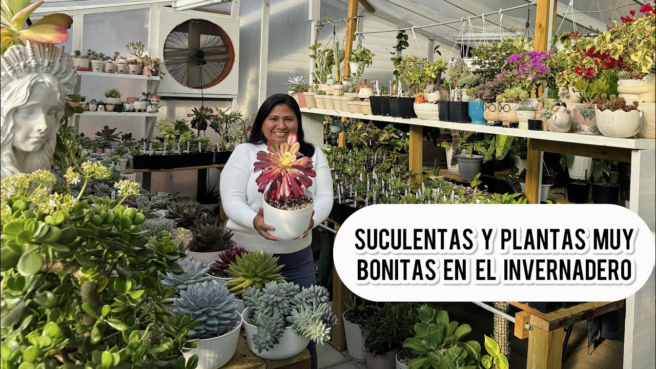 HERMOSO RECORRIDO POR EL INVERNADERO Suculentas, Cactus y más