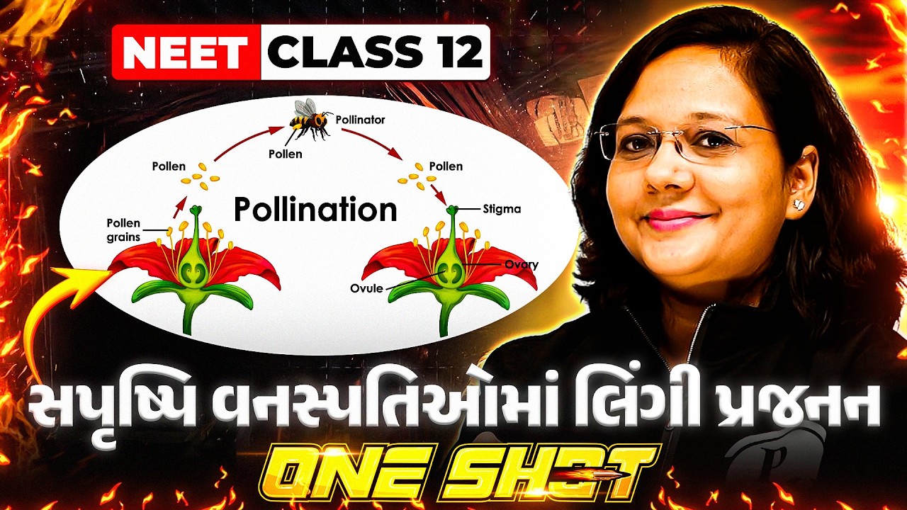 સપૃષ્પિ વનસ્પતિઓમાં લિંગી પ્રજનન | Sexual Reproduction One Shot | COMPLETE BOTANY | NEET 2026 #Umeed