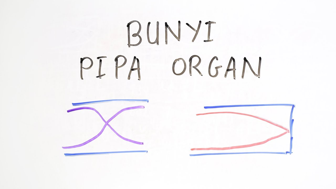 Bunyi pipa organ (terbuka dan tertutup) - Fisika Kelas XII