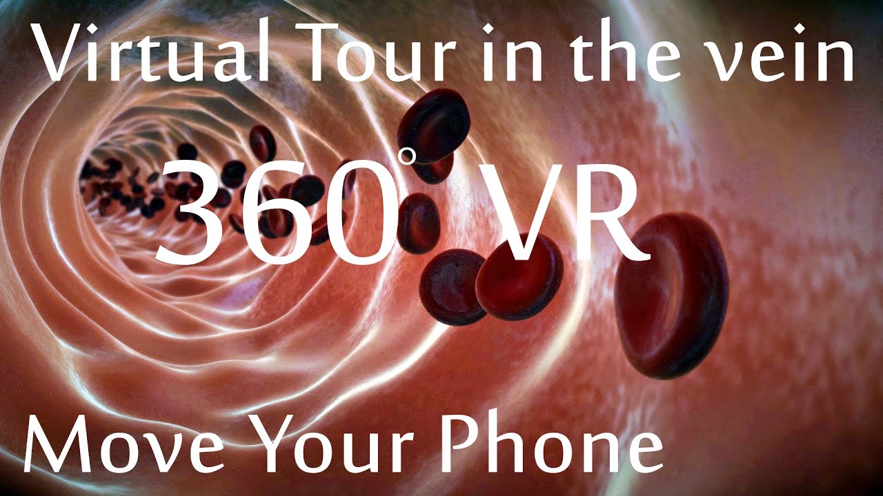 A Virtual Reality tour inside the vein 360&deg; blood vessel medical animation #360 #vr