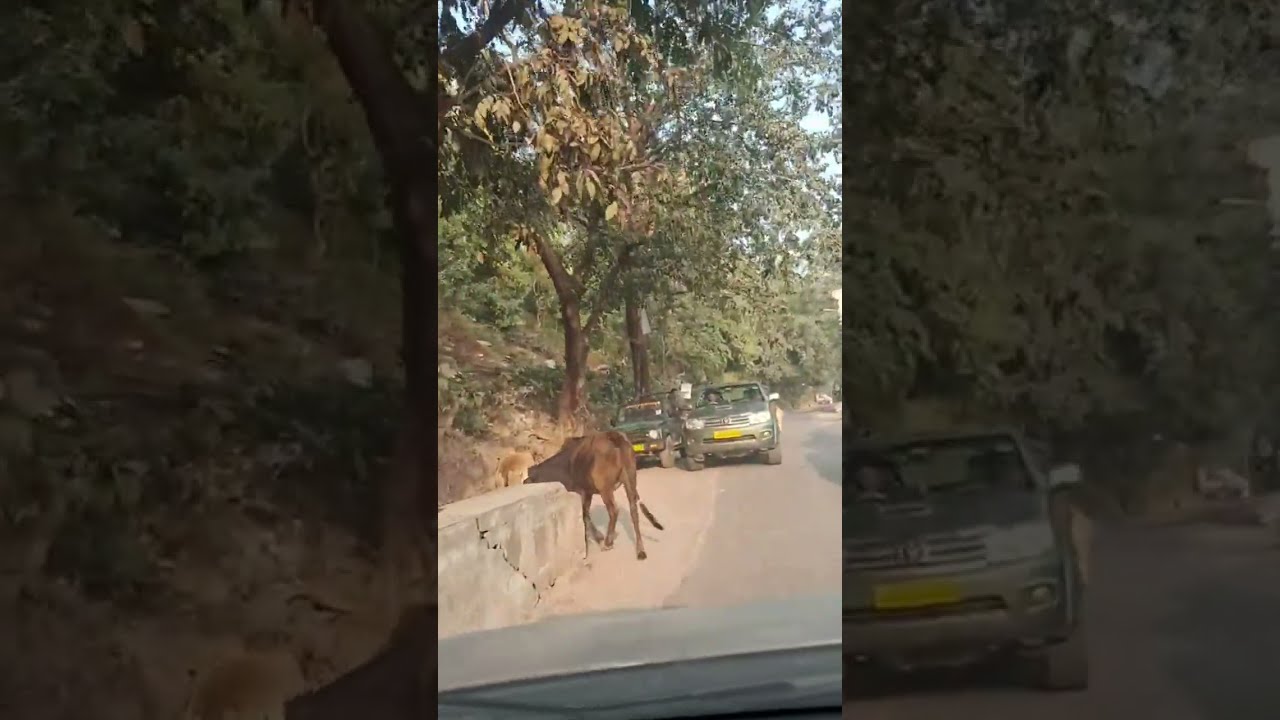  Uttarakhand tour from  Ramnagar to Naula village-vikshit Bharat@2047...kunwar S Rawat  is live