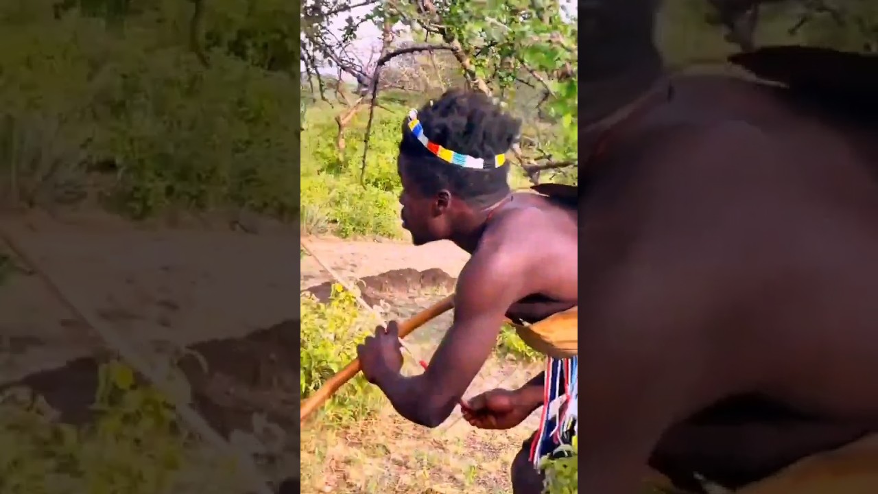 ​Locked on the Treetop Treasure! Then Everything Changed | Bush Awareness!#shorts #wildlife