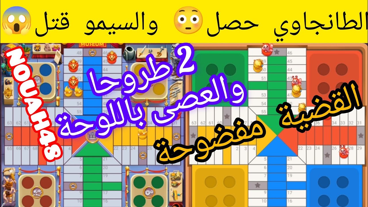 الفيل في البيݣوين دار الهالوين 🚨🐘