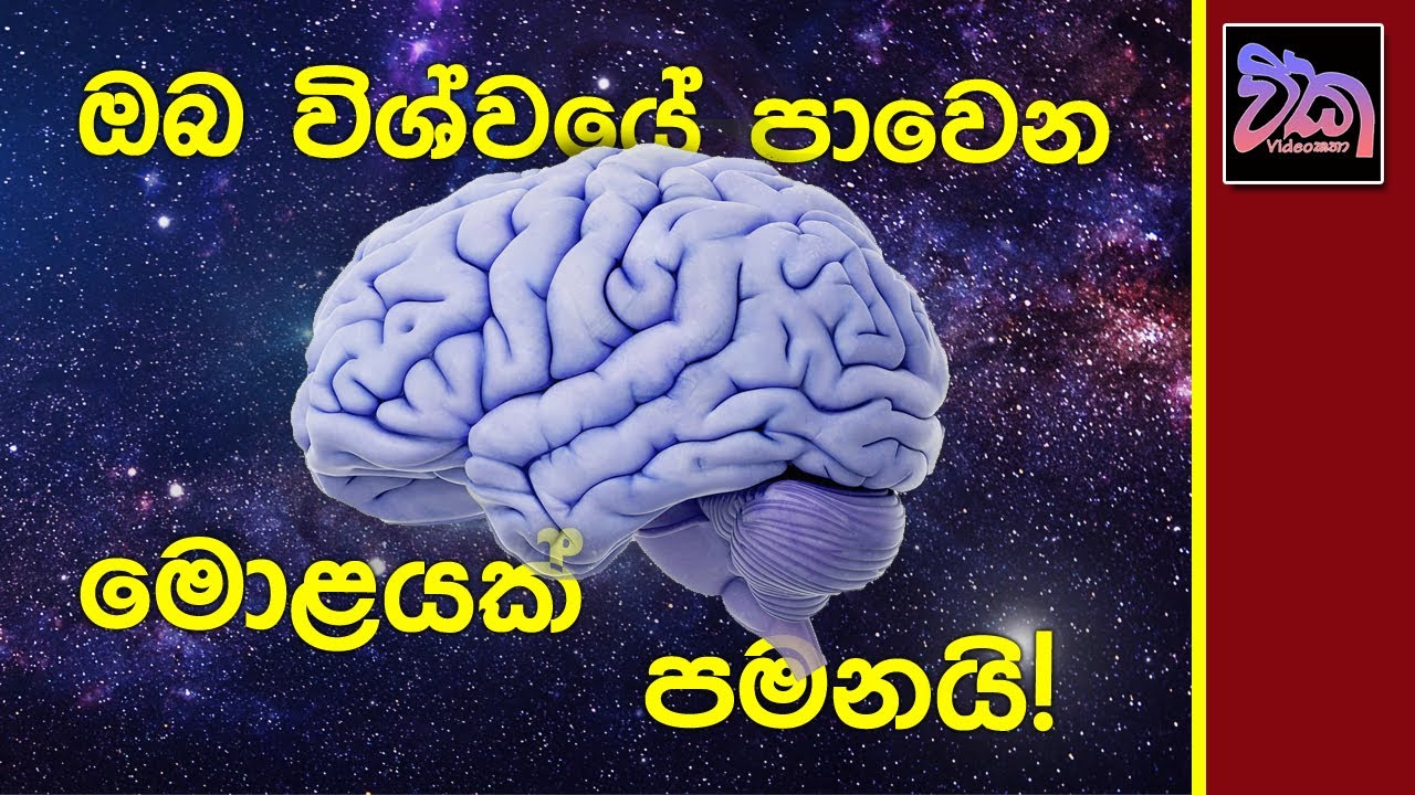 You are a Boltzmann Brain???