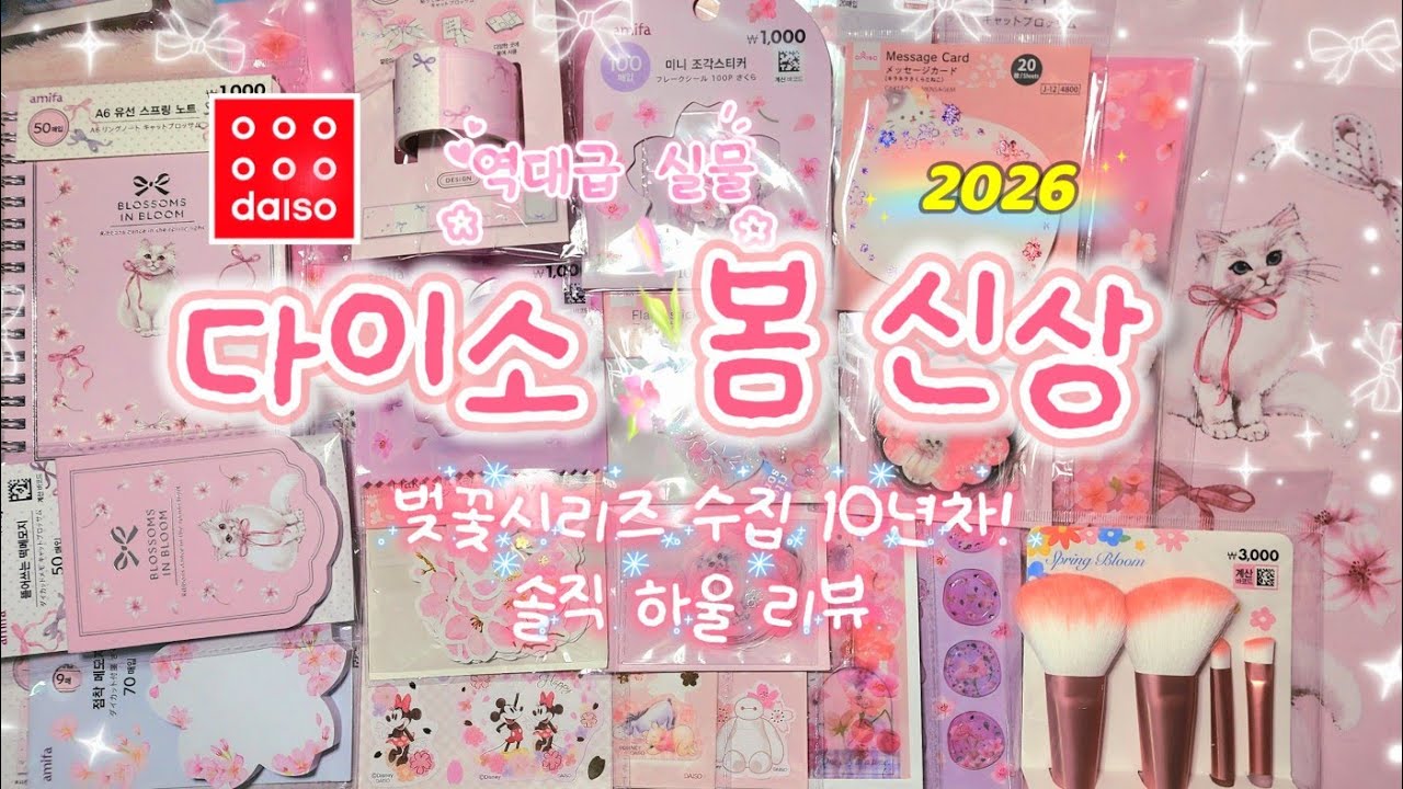다이소 2026 벚꽃 신상🌸 과연 실물은?✨ 10년차 수집러 솔직 하울‼️ (아미파 키티블로썸 | 디즈니)