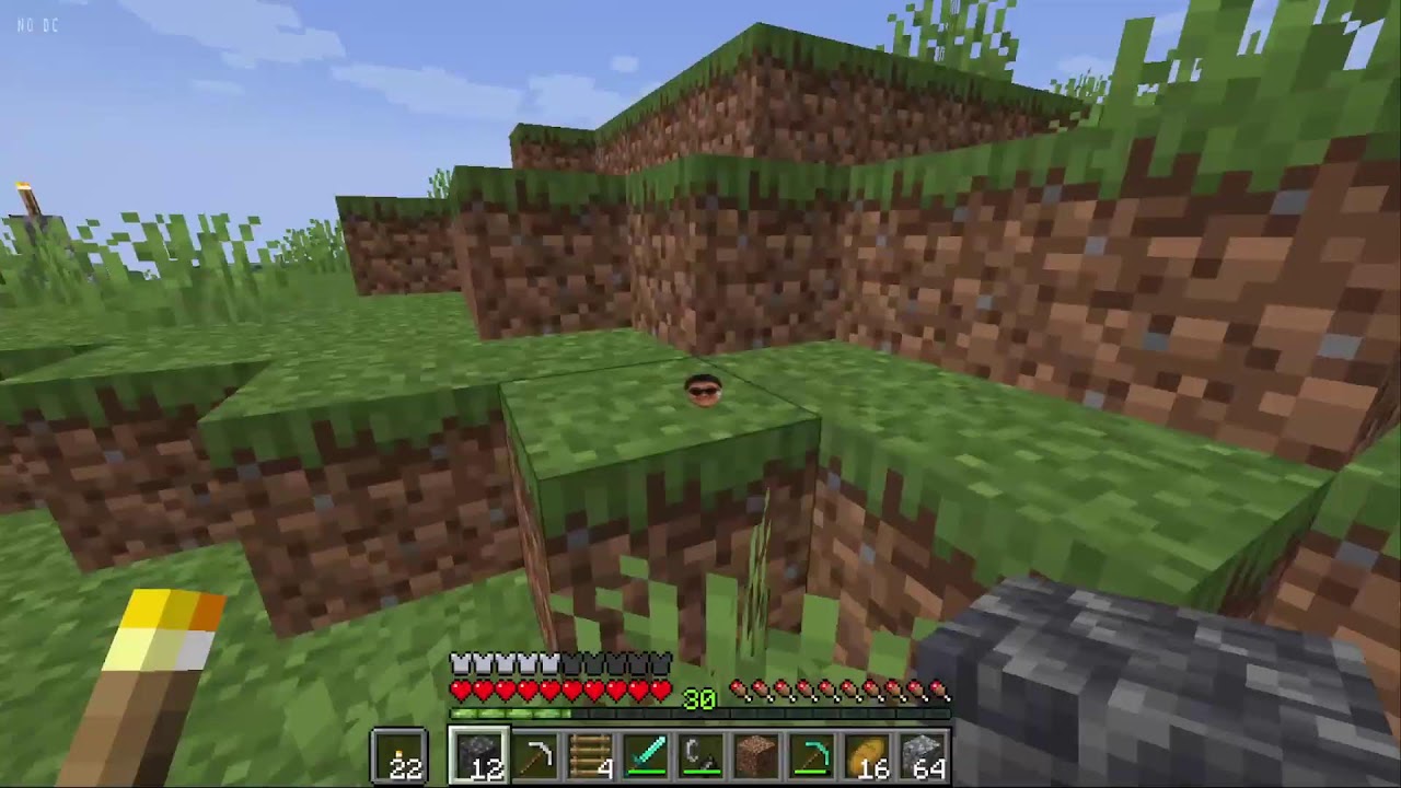 【株式会社JoyJoyMAX】1か月かけてすごいことをするMineCraft　その2