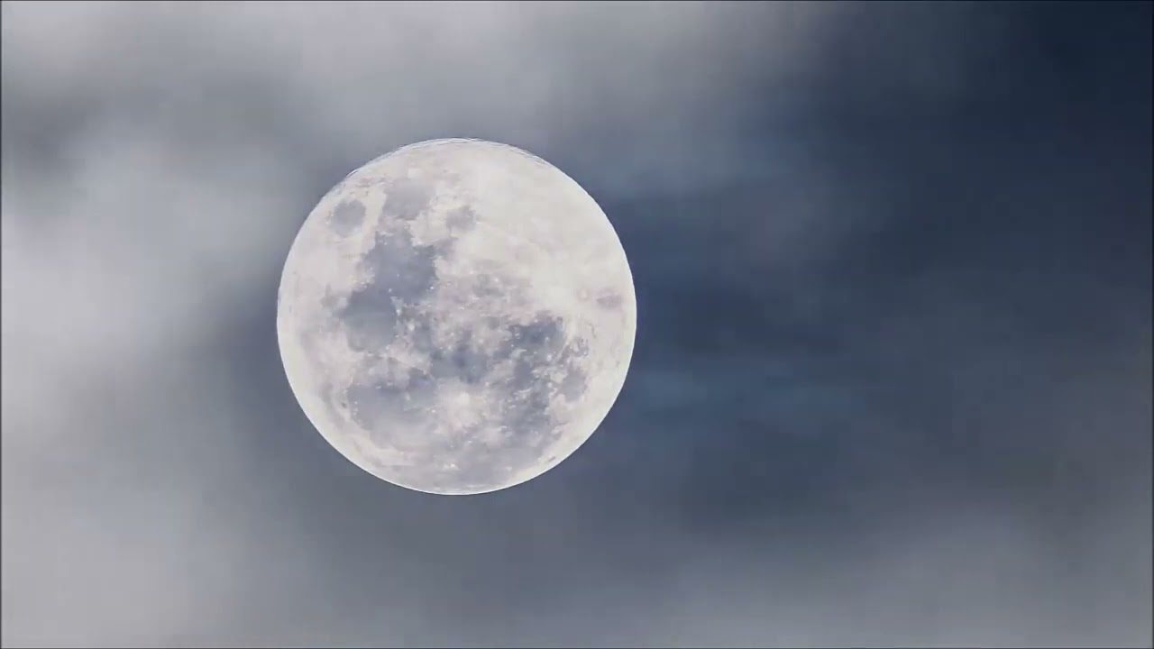 Top Relaxation Sounds. Sounds of nature. Night forest. Music for yoga and stress relief.