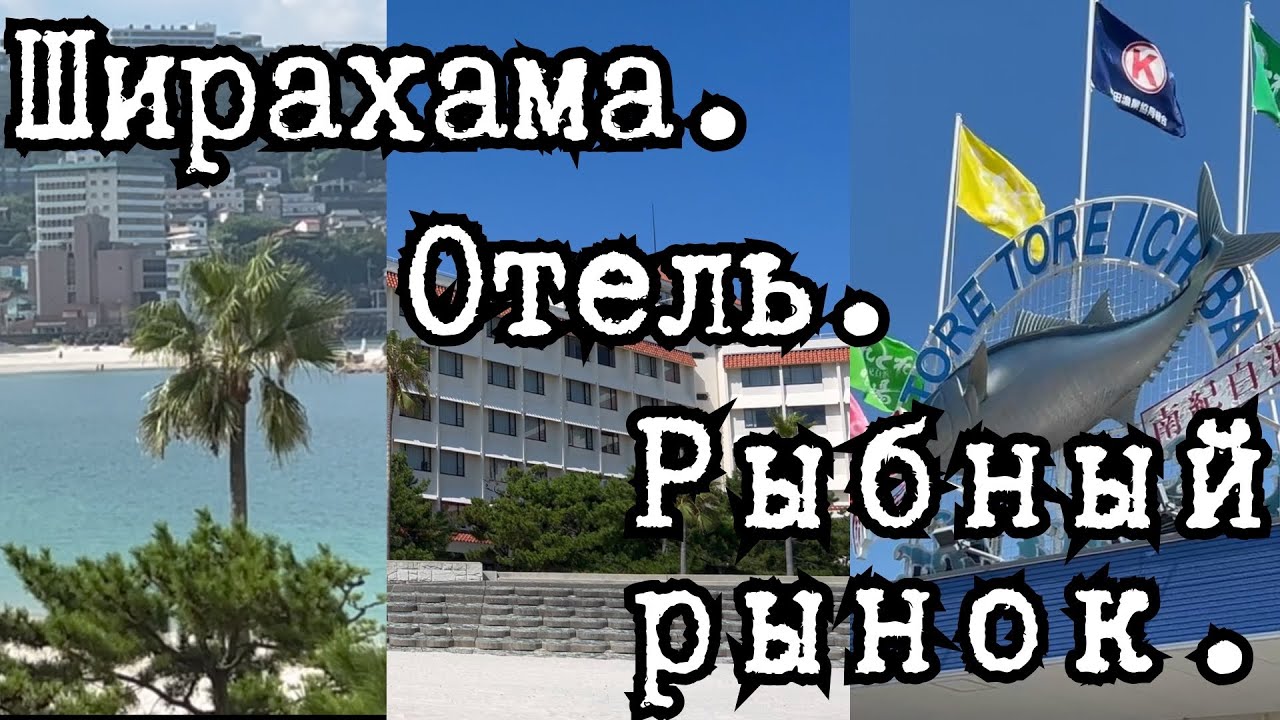 Ширахама. Отель. Рыбный рынок.