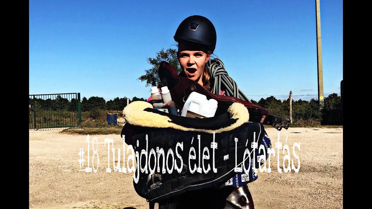 Tulajdonos élet - Lótartás