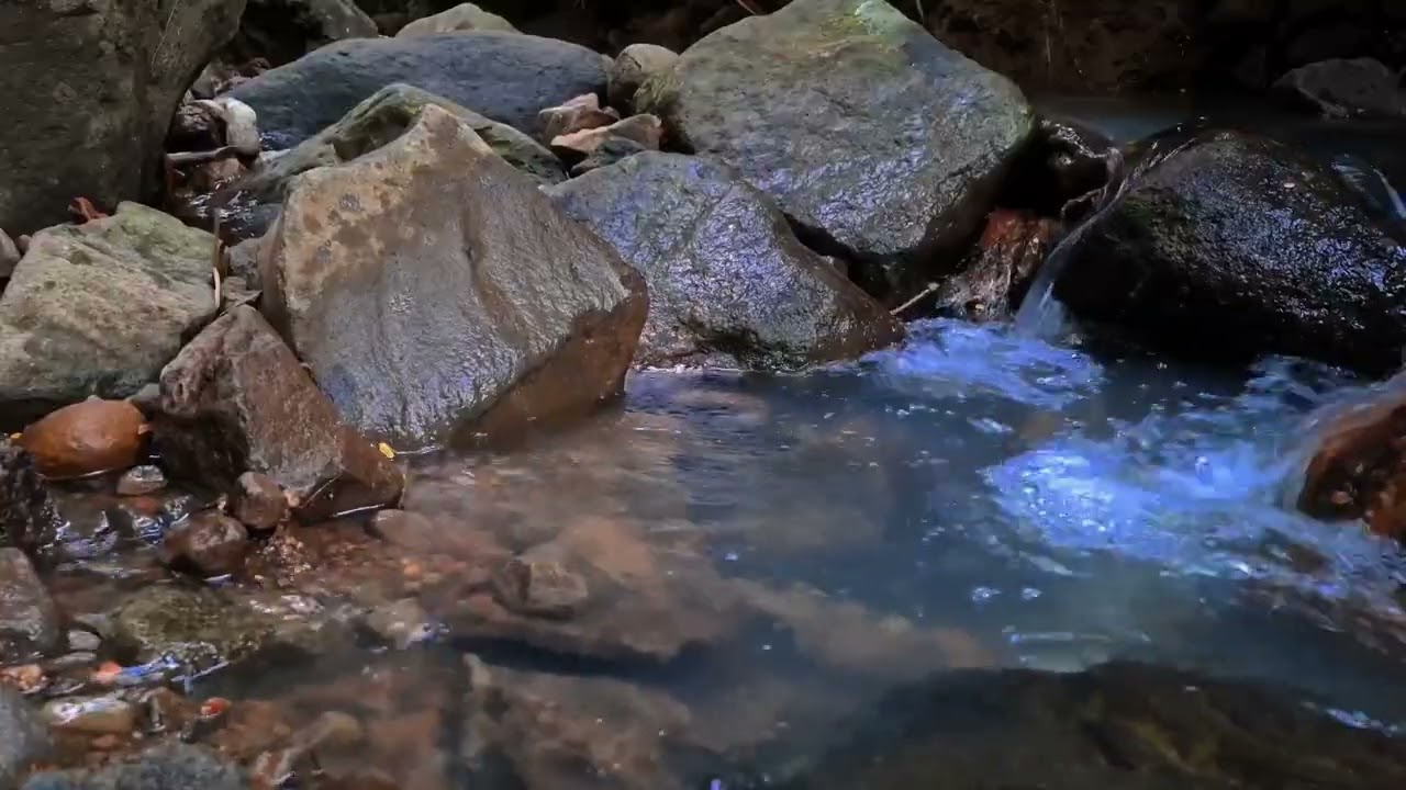 Gentle Water | Subtle River Sounds • No Talking (8 Hours)
